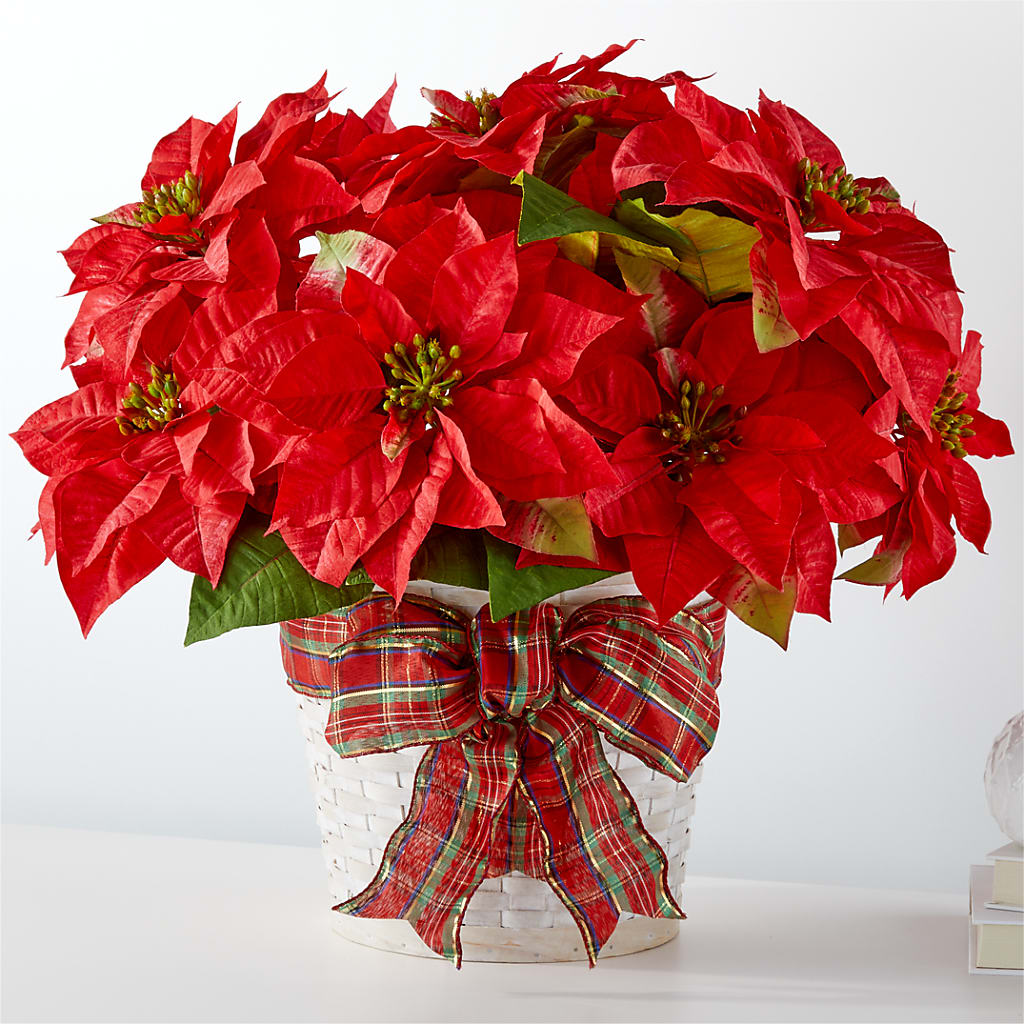 Happiest Holidays Poinsettia – Charleston Cut Flower Company, Charleston WV