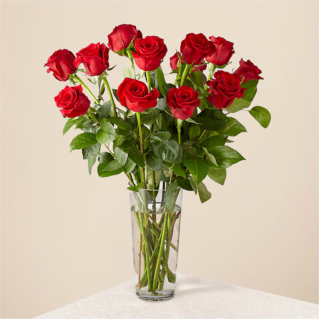 Long Stem Red Rose Bouquet – Charleston Cut Flower Company, Charleston WV