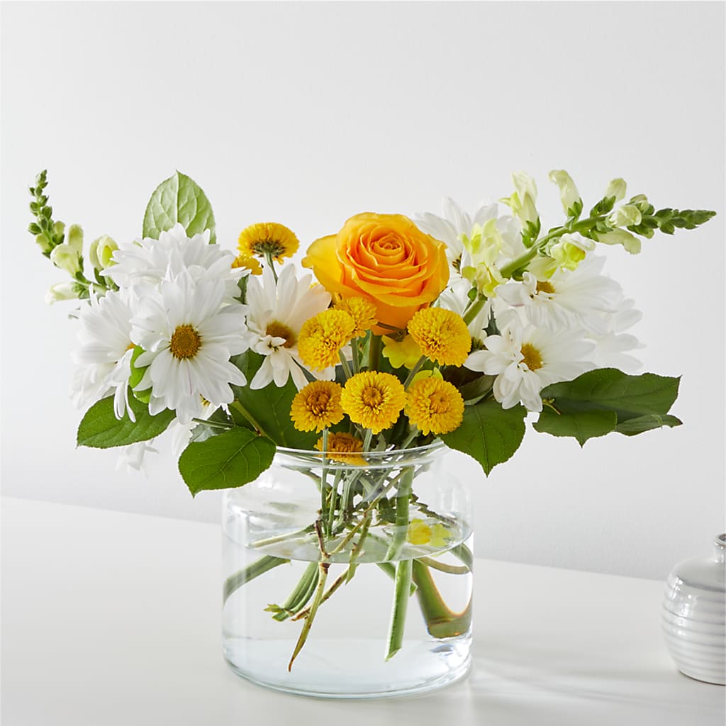 Sun Salutation Bouquet – Charleston Cut Flower Company, Charleston WV