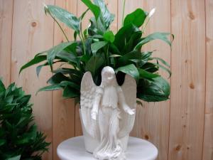 CCF Angel Planter – Charleston Cut Flower Company, Charleston WV