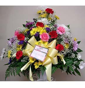 Sympathy Basket – Charleston Cut Flower Company, Charleston WV