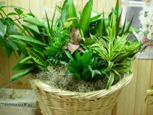 Laundry Basket Garden – Charleston Cut Flower Company, Charleston WV