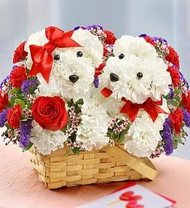 Puppies in Love – Charleston Cut Flower Company, Charleston WV