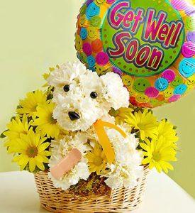 Sick as a Dog – Charleston Cut Flower Company, Charleston WV