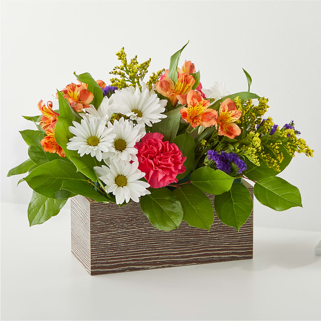 Oopsie Daisy Box Bouquet – Charleston Cut Flower Company, Charleston WV