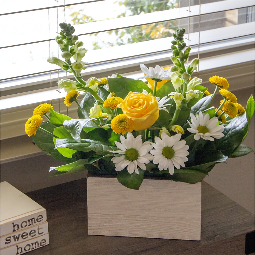 Sun Salutation Box Bouquet – Charleston Cut Flower Company, Charleston WV