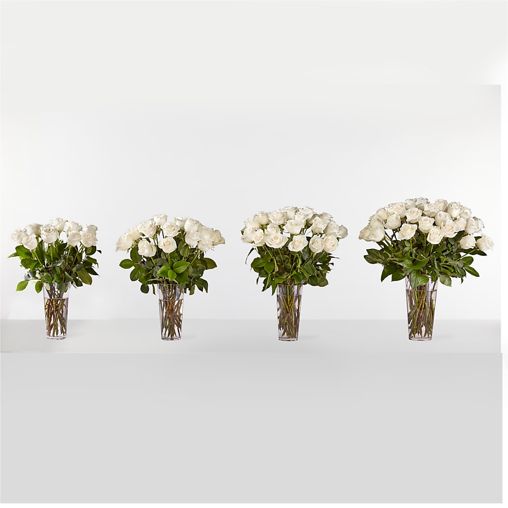 Long Stem White Rose Bouquet – Charleston Cut Flower Company, Charleston WV