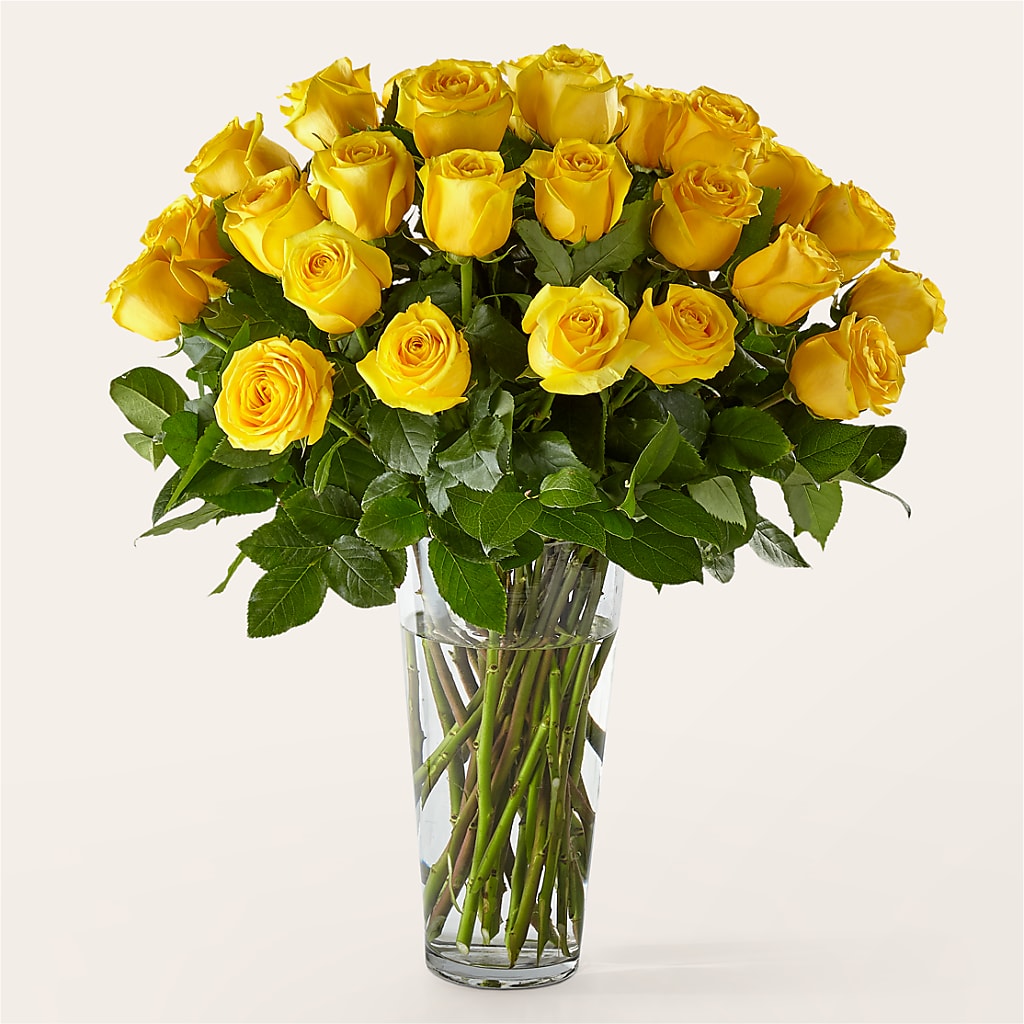 Long Stem Yellow Rose Bouquet – Charleston Cut Flower Company, Charleston WV