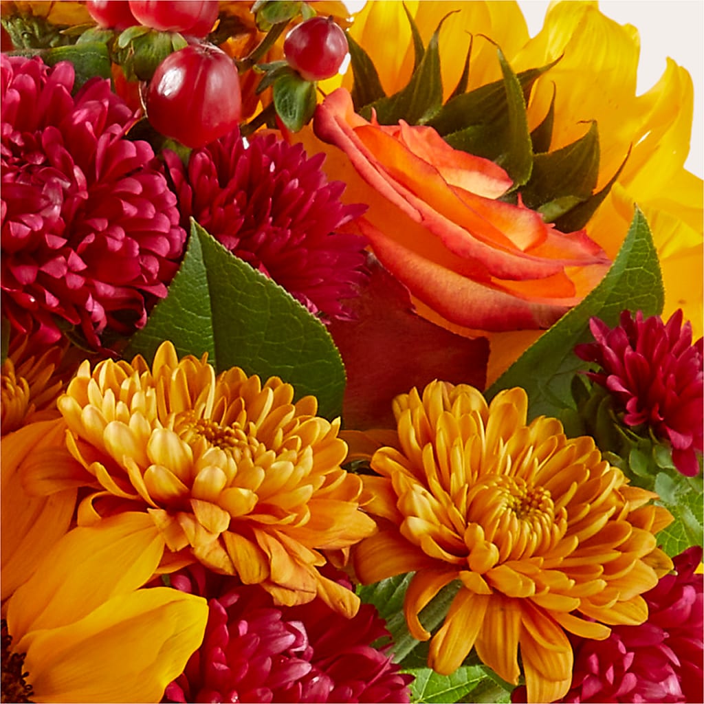 Sweater Season - A Florist Original – Charleston Cut Flower Company, Charleston WV