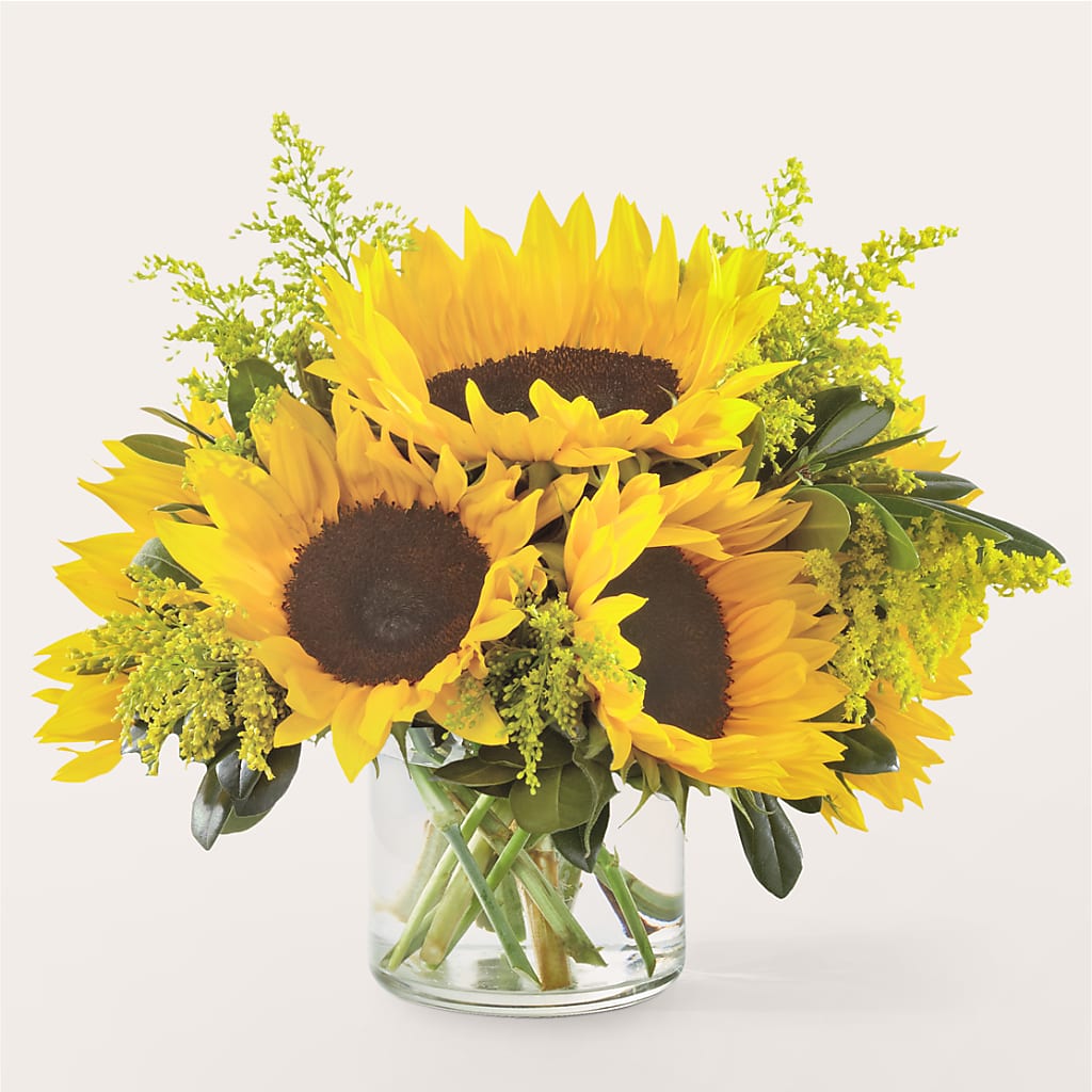 Beaming Sunflower Bouquet – Charleston Cut Flower Company, Charleston WV