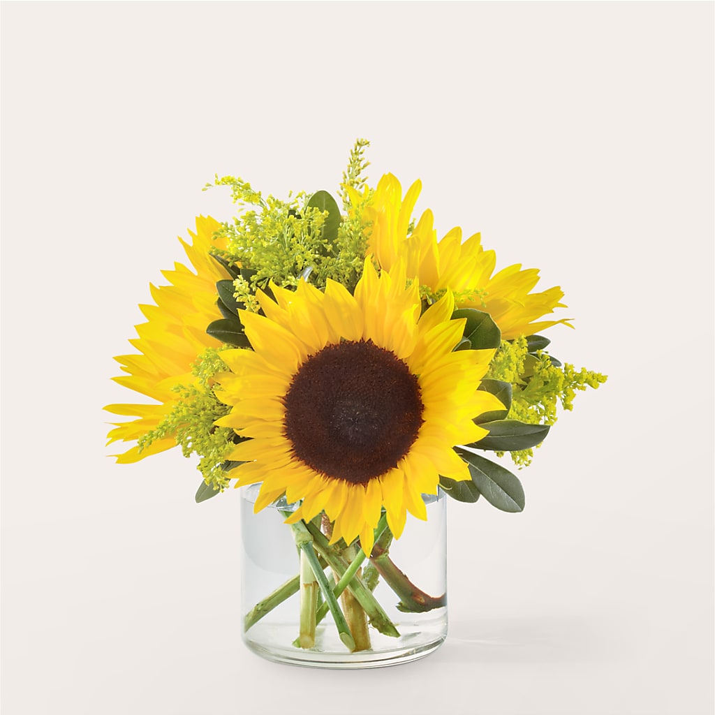 Beaming Sunflower Bouquet – Charleston Cut Flower Company, Charleston WV