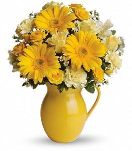 Teleflora's Sunny Day Pitcher of Cheer – Charleston Cut Flower Company, Charleston WV