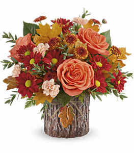 Teleflora's Enchanted Forest by CCF – Charleston Cut Flower Company, Charleston WV
