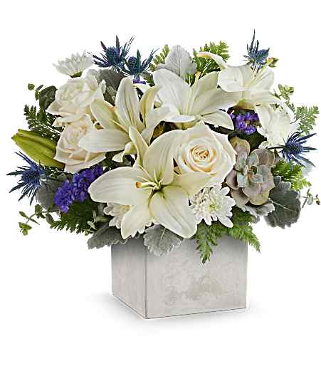 Teleflora's Modern Paradise by CCF – Charleston Cut Flower Company, Charleston WV
