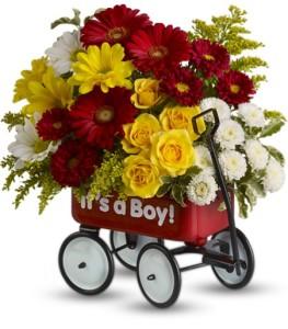 Baby's Wow Wagon -Boy - by CCF – Charleston Cut Flower Company, Charleston WV