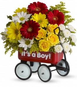 Baby's Wow Wagon -Boy - by CCF – Charleston Cut Flower Company, Charleston WV