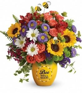 Teleflora's Garden of Wellness by CCF – Charleston Cut Flower Company, Charleston WV