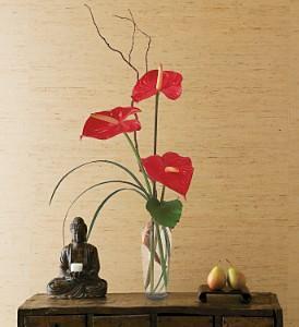 The Simplicity of Anthuriums - by Charleston Cut Flower Co. – Charleston Cut Flower Company, Charleston WV