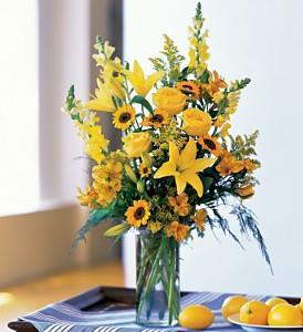 Burst of Yellow - by Charleston Cut Flower Co. – Charleston Cut Flower Company, Charleston WV