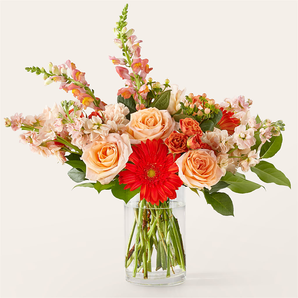 Paloma Please Bouquet – Charleston Cut Flower Company, Charleston WV