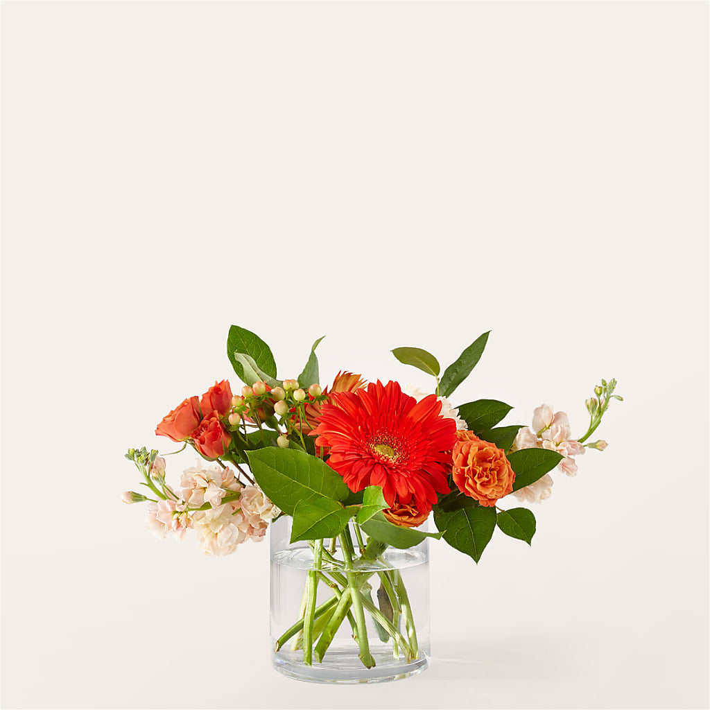 Paloma Please Bouquet – Charleston Cut Flower Company, Charleston WV