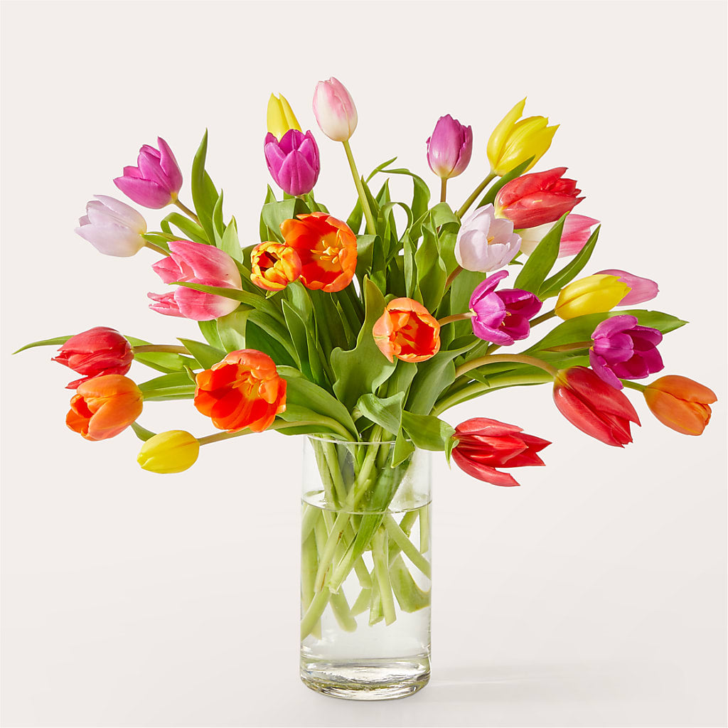 Let's Talk Tulips Bouquet – Charleston Cut Flower Company, Charleston WV