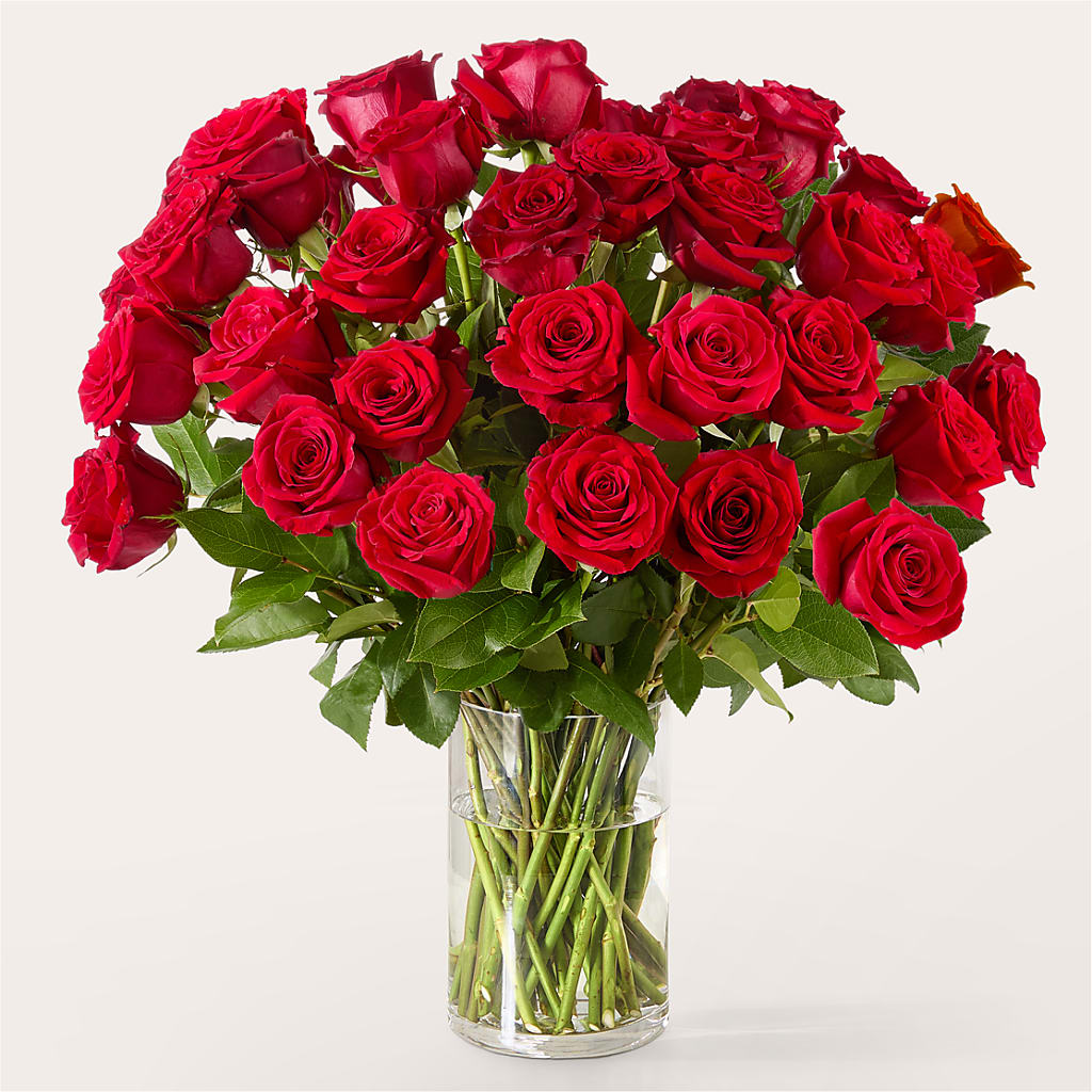 The One Red Rose Bouquet – Charleston Cut Flower Company, Charleston WV