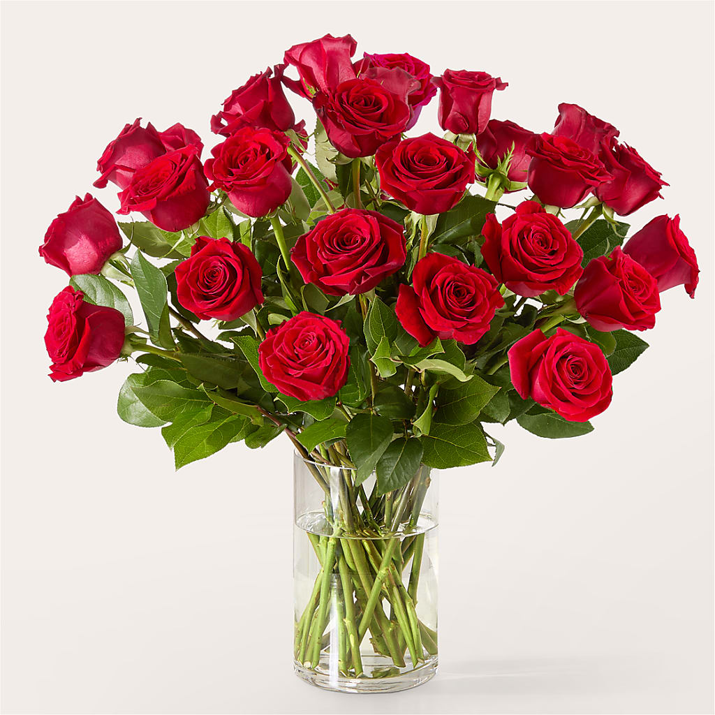 The One Red Rose Bouquet – Charleston Cut Flower Company, Charleston WV