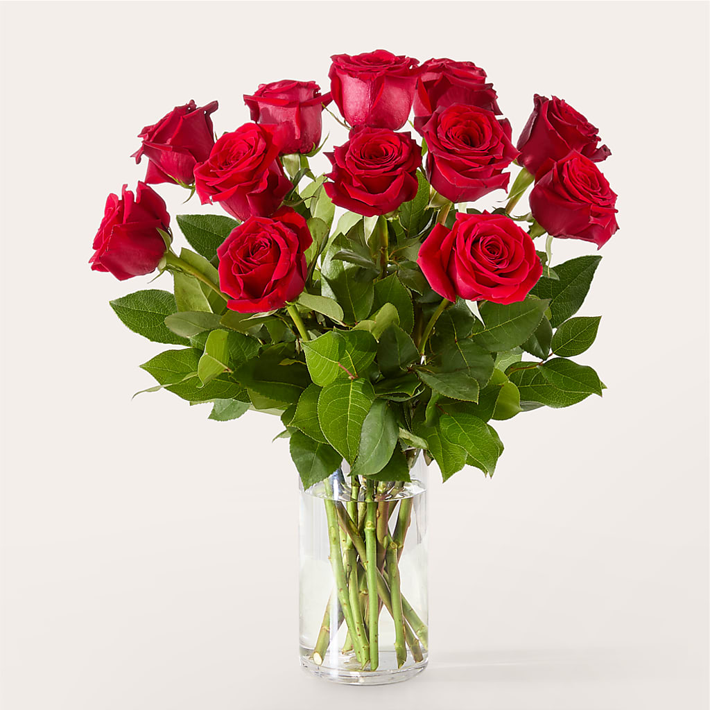 The One Red Rose Bouquet – Charleston Cut Flower Company, Charleston WV