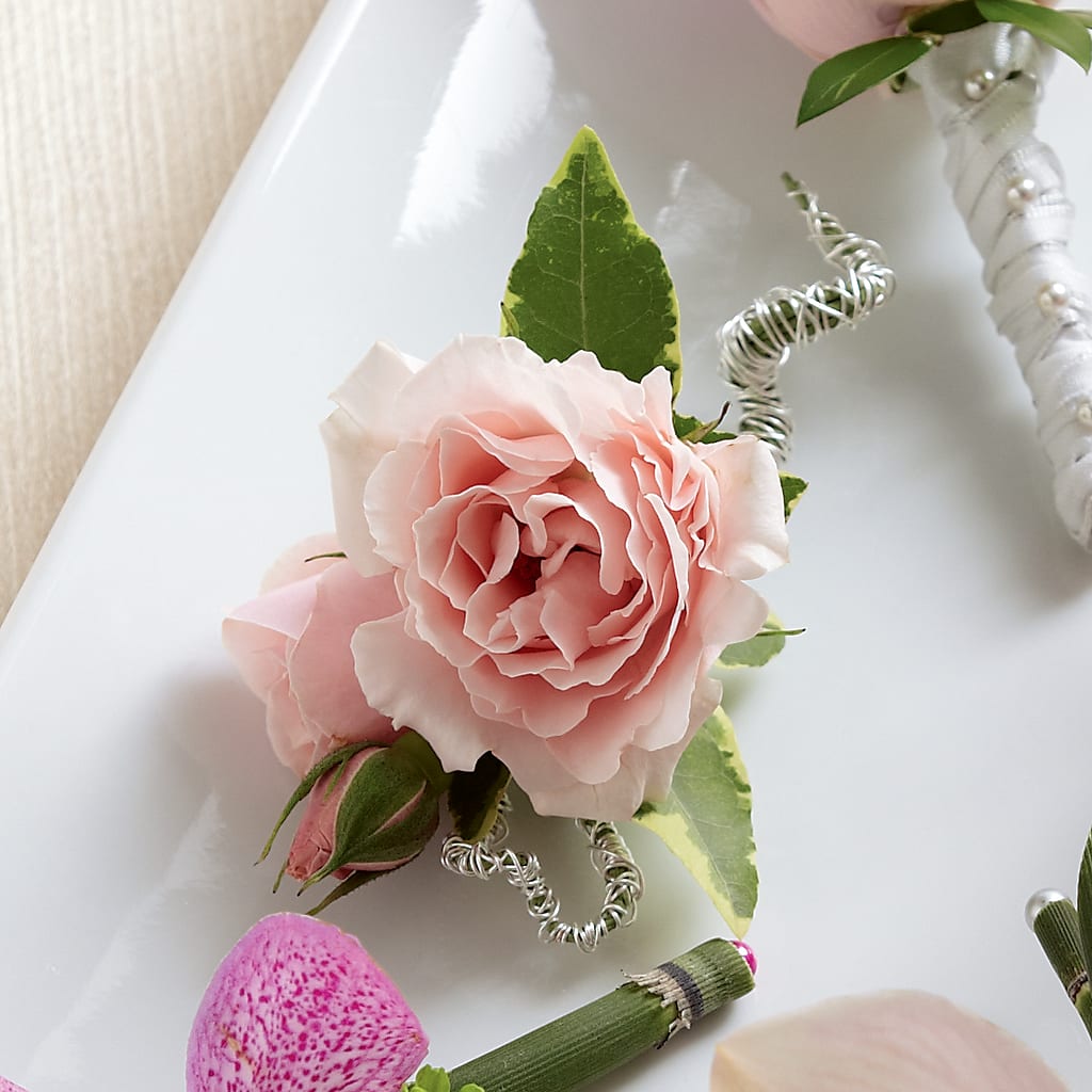 Pink Spray Rose Boutonniere – Charleston Cut Flower Company, Charleston WV