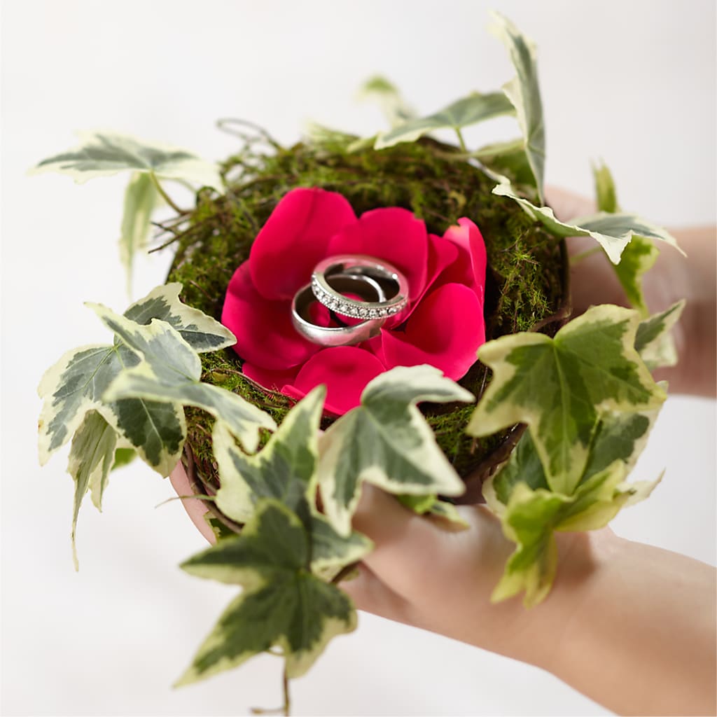 Lila Rose Ring Nest – Charleston Cut Flower Company, Charleston WV