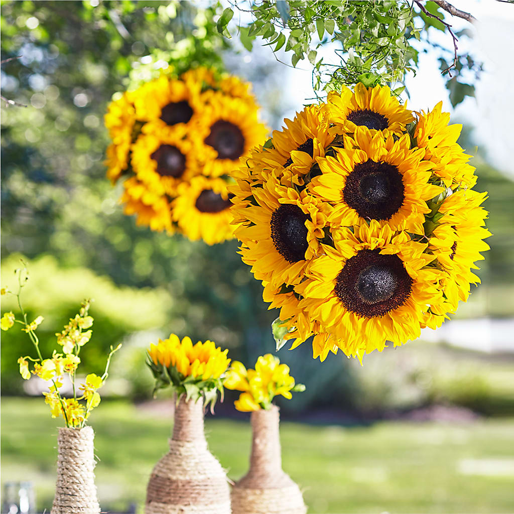 Sublime Garden Hanging Arrangement – Charleston Cut Flower Company, Charleston WV