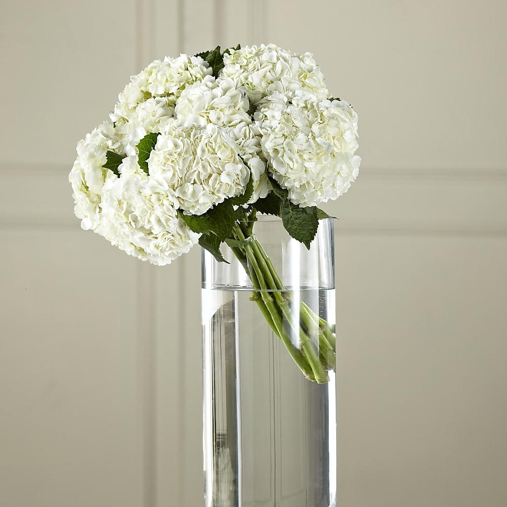White Hydrangea Hand-Tied Bouquet – Charleston Cut Flower Company, Charleston WV