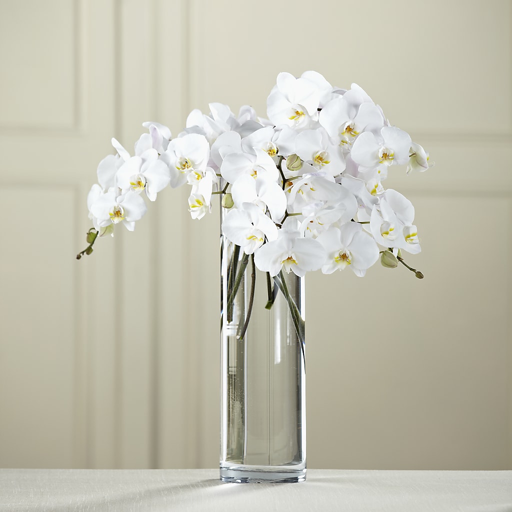 White Phalaenopsis Bouquet – Charleston Cut Flower Company, Charleston WV