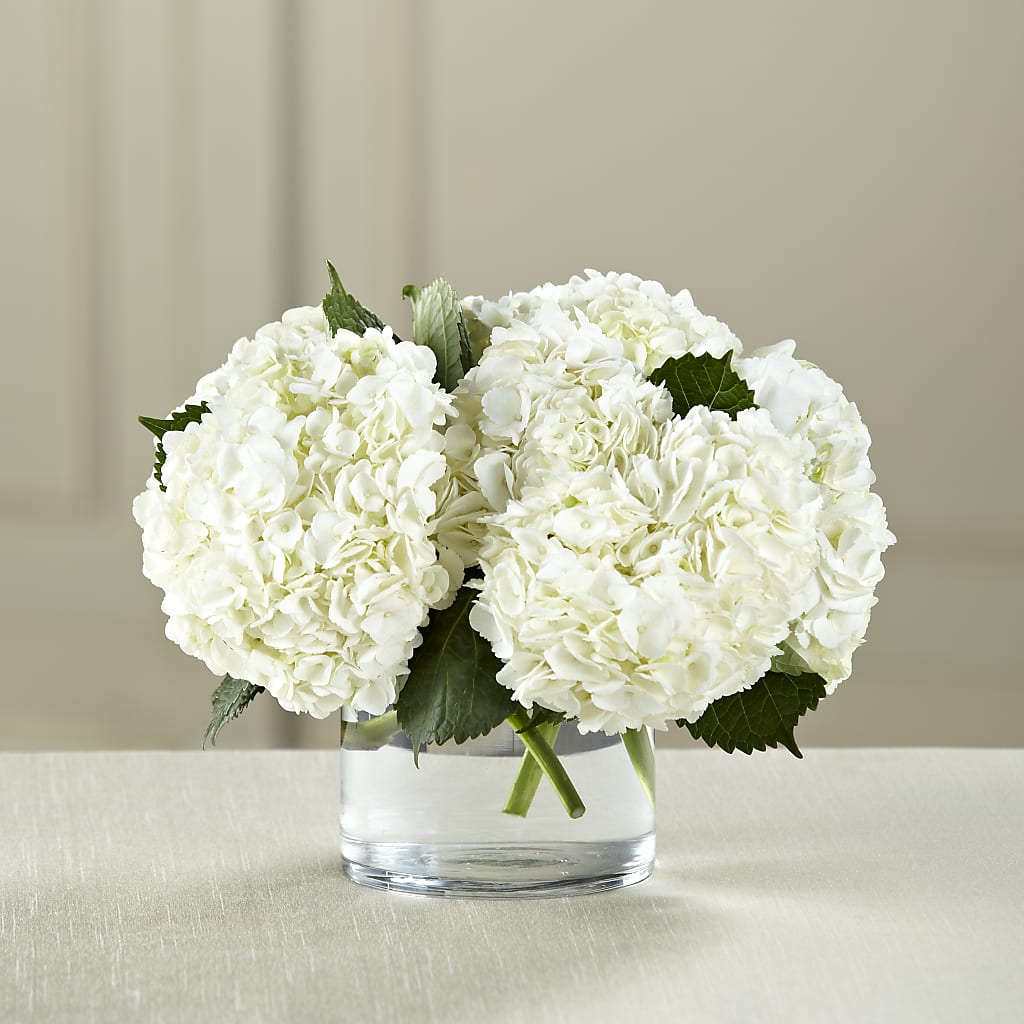 White Hydrangea Bouquet – Charleston Cut Flower Company, Charleston WV