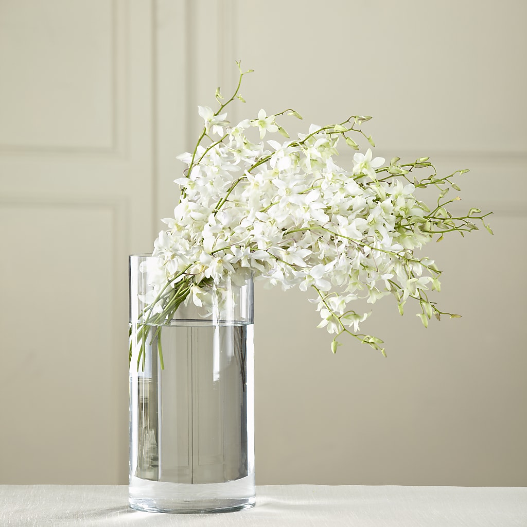 White Dendrobium Bouquet – Charleston Cut Flower Company, Charleston WV
