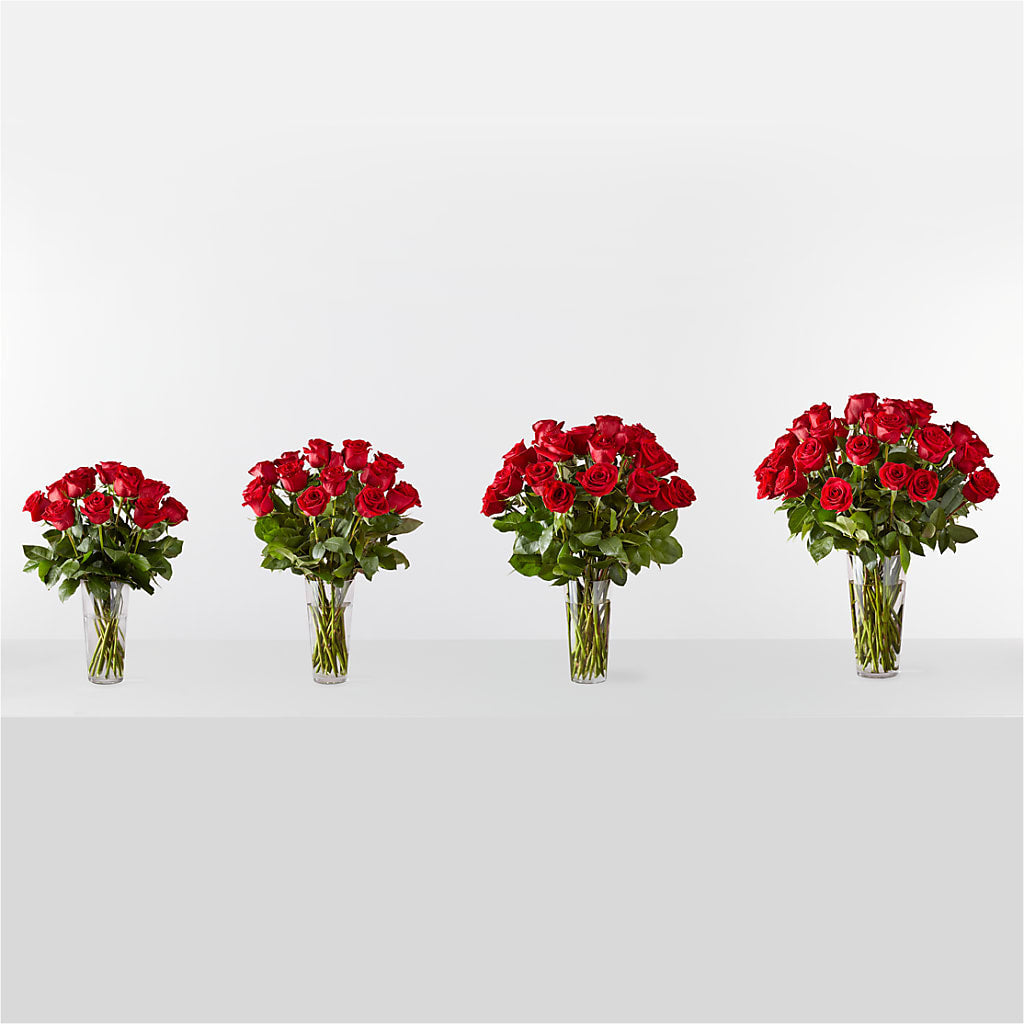 Long Stem Red Rose Bouquet –  Charleston Cut Flower Company, Charleston WV