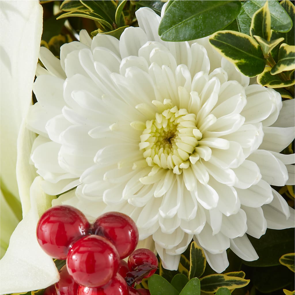 Festive Moments Tree –  Charleston Cut Flower Company, Charleston WV