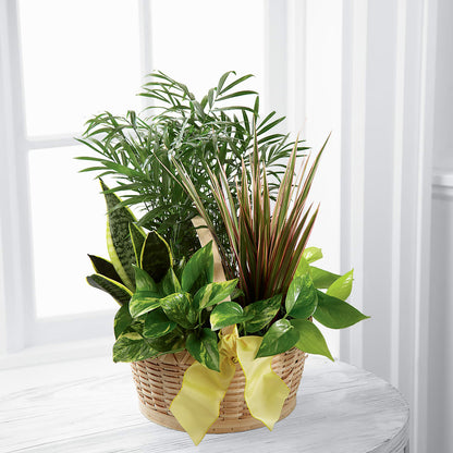 French Garden –  Charleston Cut Flower Company, Charleston WV