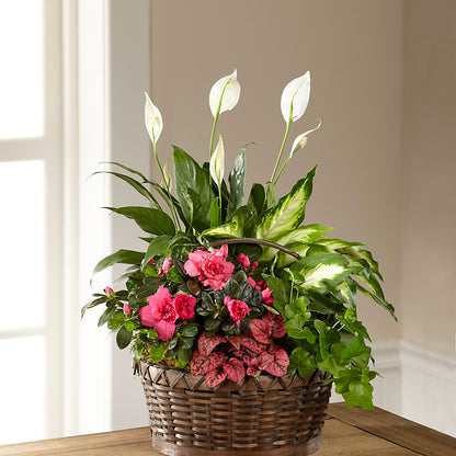 Dream in Pink Dishgarden –  Charleston Cut Flower Company, Charleston WV