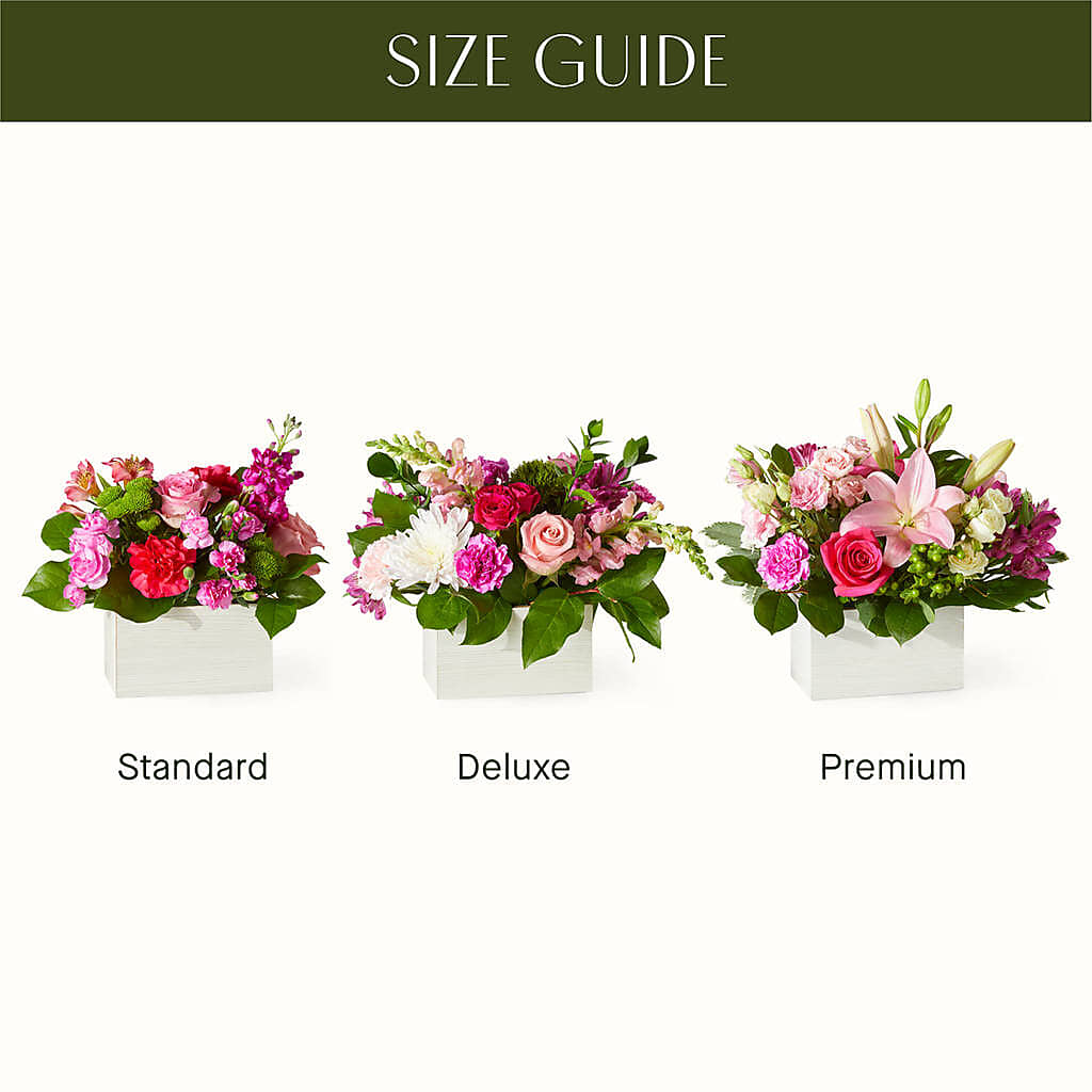 Sweetberry Box – A Florist Original –  Charleston Cut Flower Company, Charleston WV