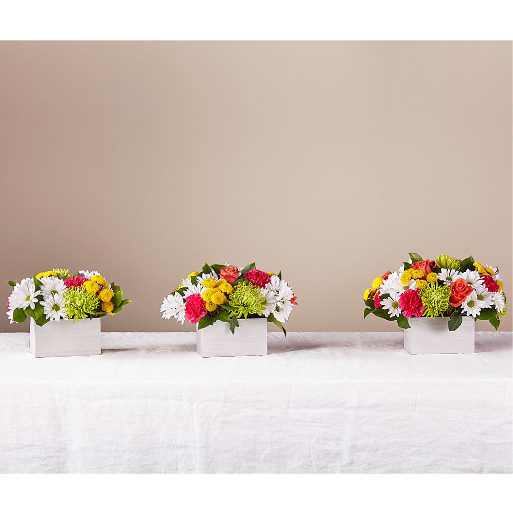 Sorbet Bouquet –  Charleston Cut Flower Company, Charleston WV