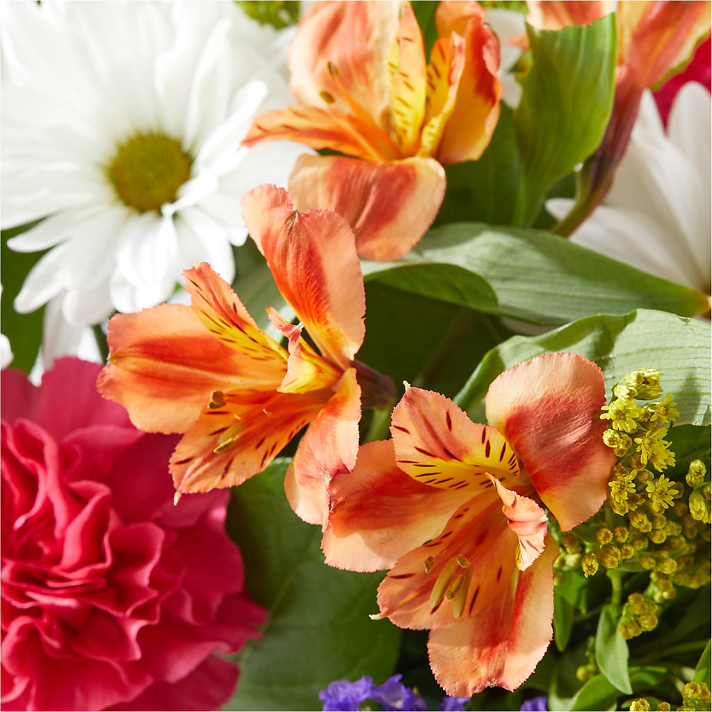 Oopsie Daisy Box Bouquet –  Charleston Cut Flower Company, Charleston WV