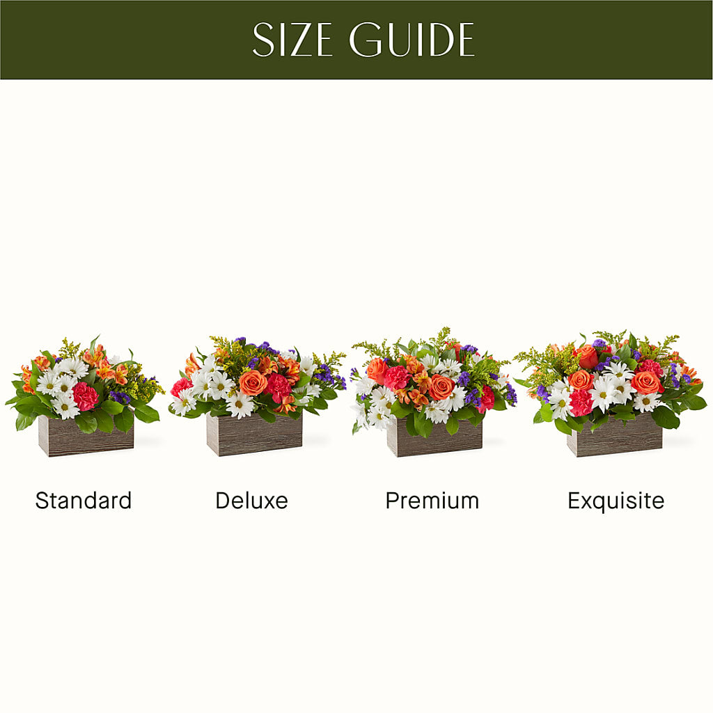 Oopsie Daisy Box Bouquet –  Charleston Cut Flower Company, Charleston WV