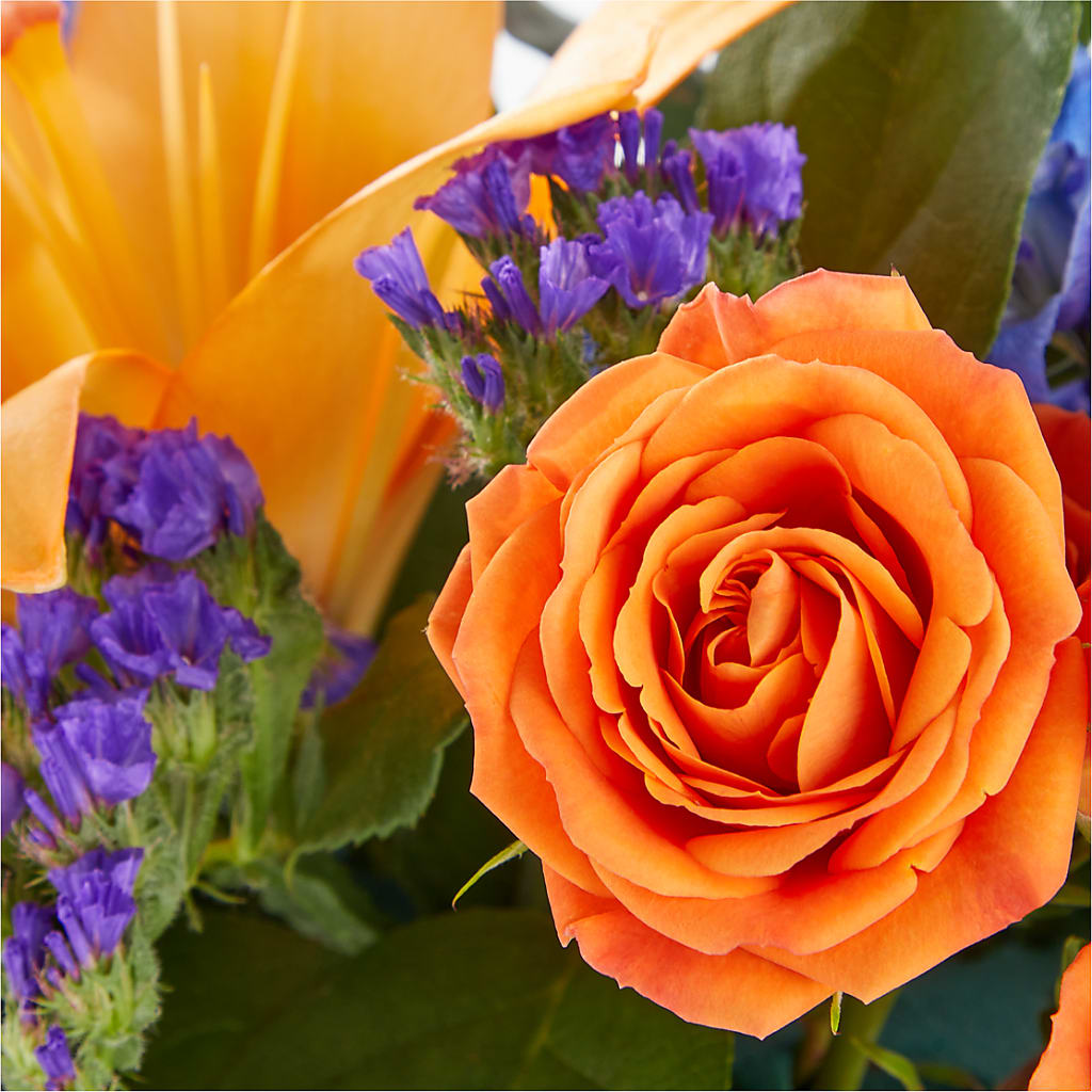 Radiant Citrus Box Bouquet –  Charleston Cut Flower Company, Charleston WV