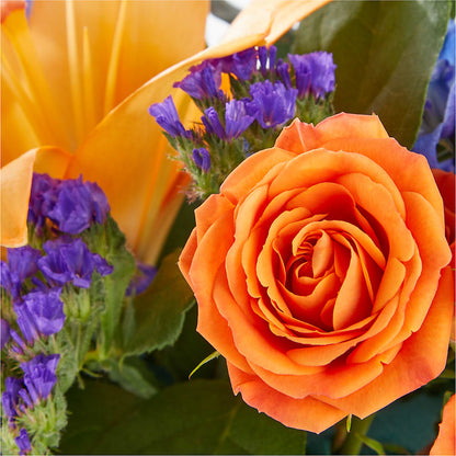 Radiant Citrus Box Bouquet –  Charleston Cut Flower Company, Charleston WV
