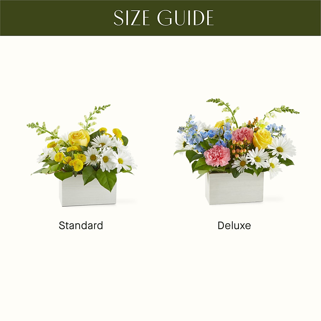 Sun Salutation Box Bouquet –  Charleston Cut Flower Company, Charleston WV