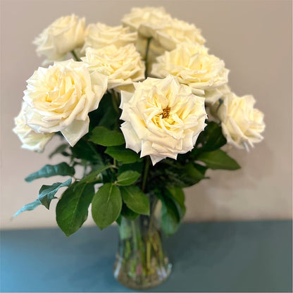 Long Stem Yellow Rose Bouquet –  Charleston Cut Flower Company, Charleston WV