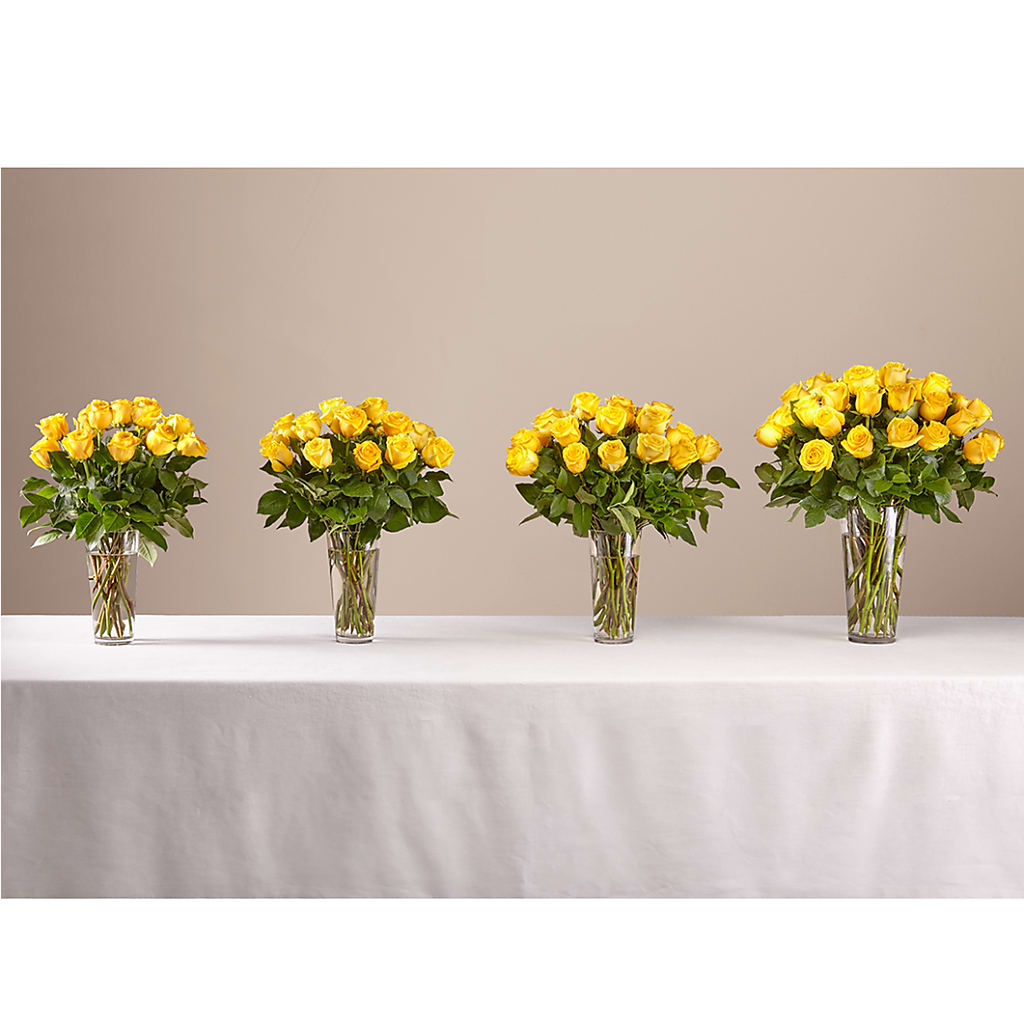 Long Stem Yellow Rose Bouquet –  Charleston Cut Flower Company, Charleston WV