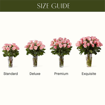 Long Stem Pink Rose Bouquet –  Charleston Cut Flower Company, Charleston WV